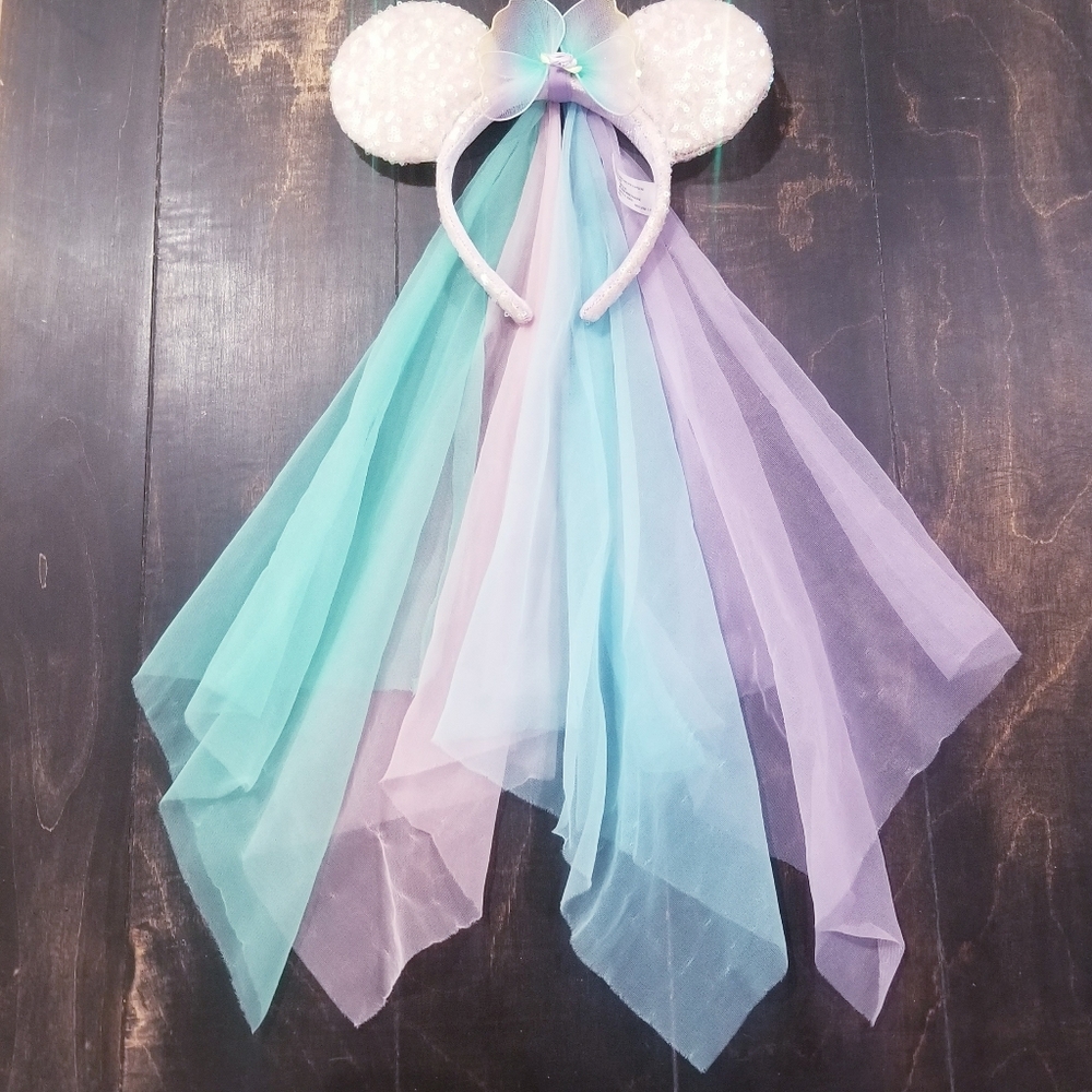 Disney ears with vail